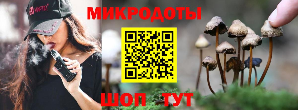 Галлюциногенные грибы прущие грибы  Псилоцибиновые грибы Cubensis  Добрянка  Вход с VPN 