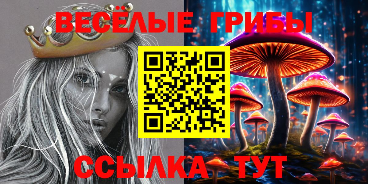 Псилоцибиновые грибы GOLDEN TEACHER Добрянка